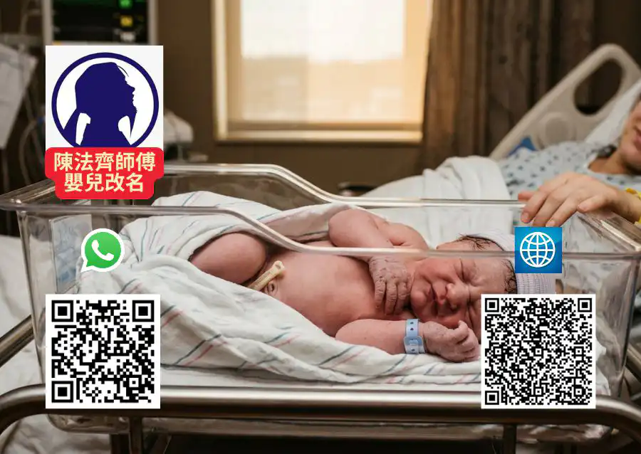 BB改名陳法齊師傅